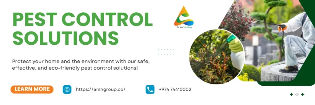 Signs You Need Professional Pest Control Services