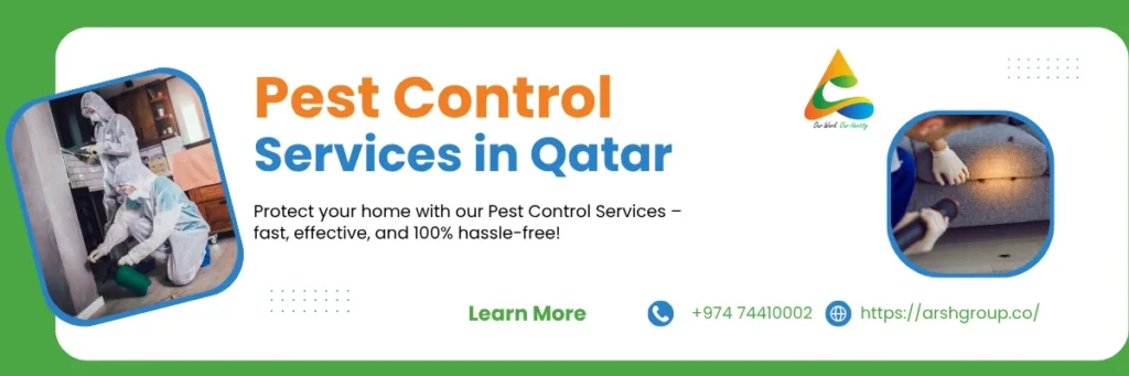 Preventive Measures to Keep Your Home Rodent-Free