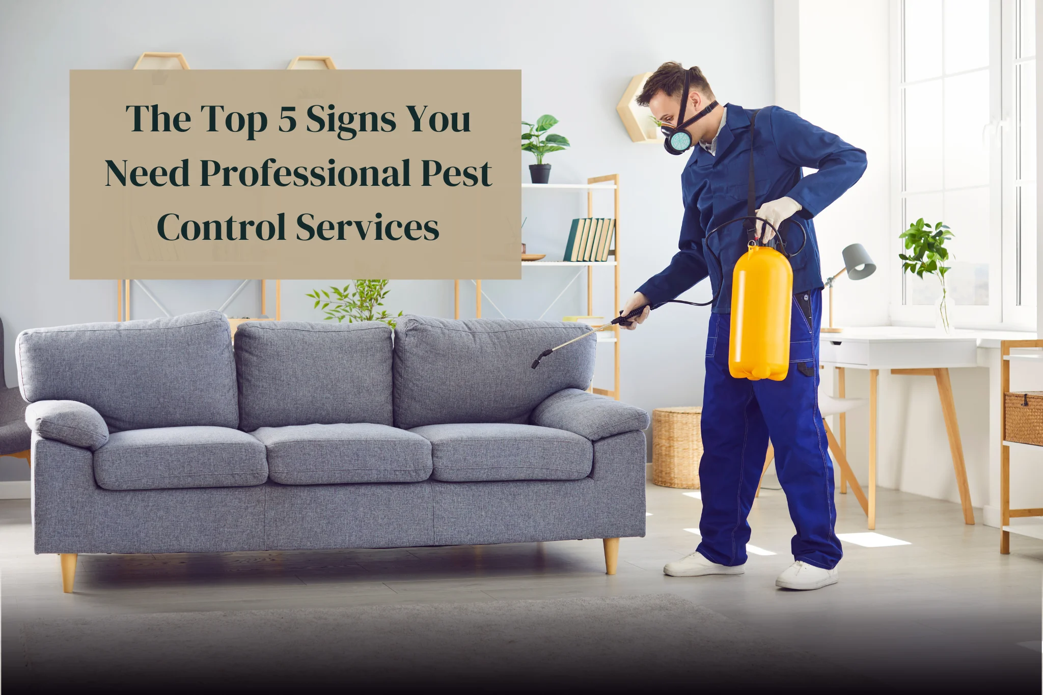 Top 5 Signs You Need Professional Pest Control Services