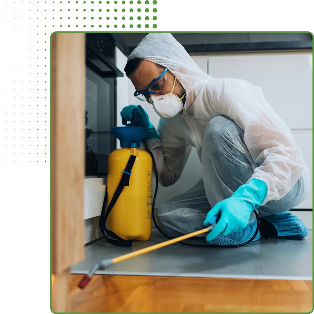 home Disinfection Services