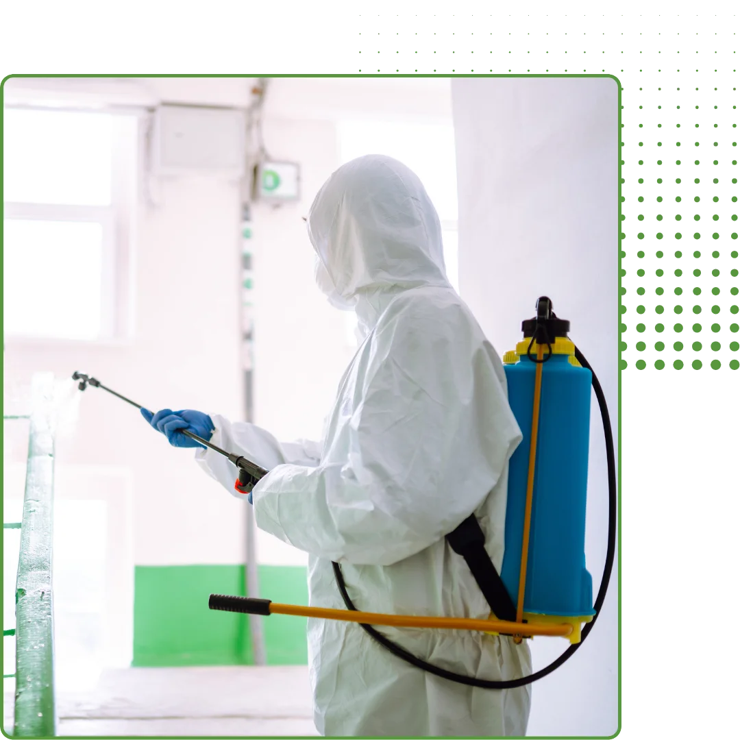 home Disinfection Services